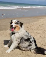 706867506_2020866225178562_2780075718422213341_n